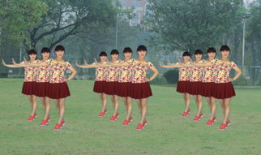 广场舞视频教学,跟随视频轻松学会热门舞步